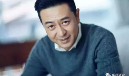 张嘉译演过的电视剧,从蜗居到人世间，一部剧一部人生