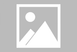 每日吃瓜爆料赵露思,瓜田里的璀璨明星